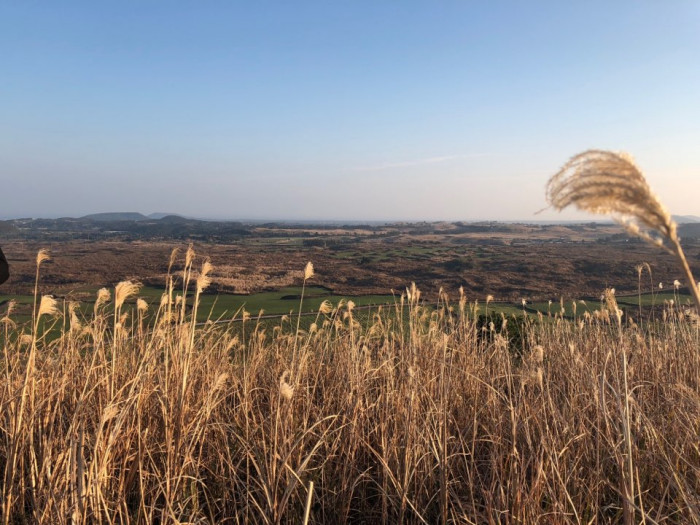 2019년 12월 셋째 주 소식